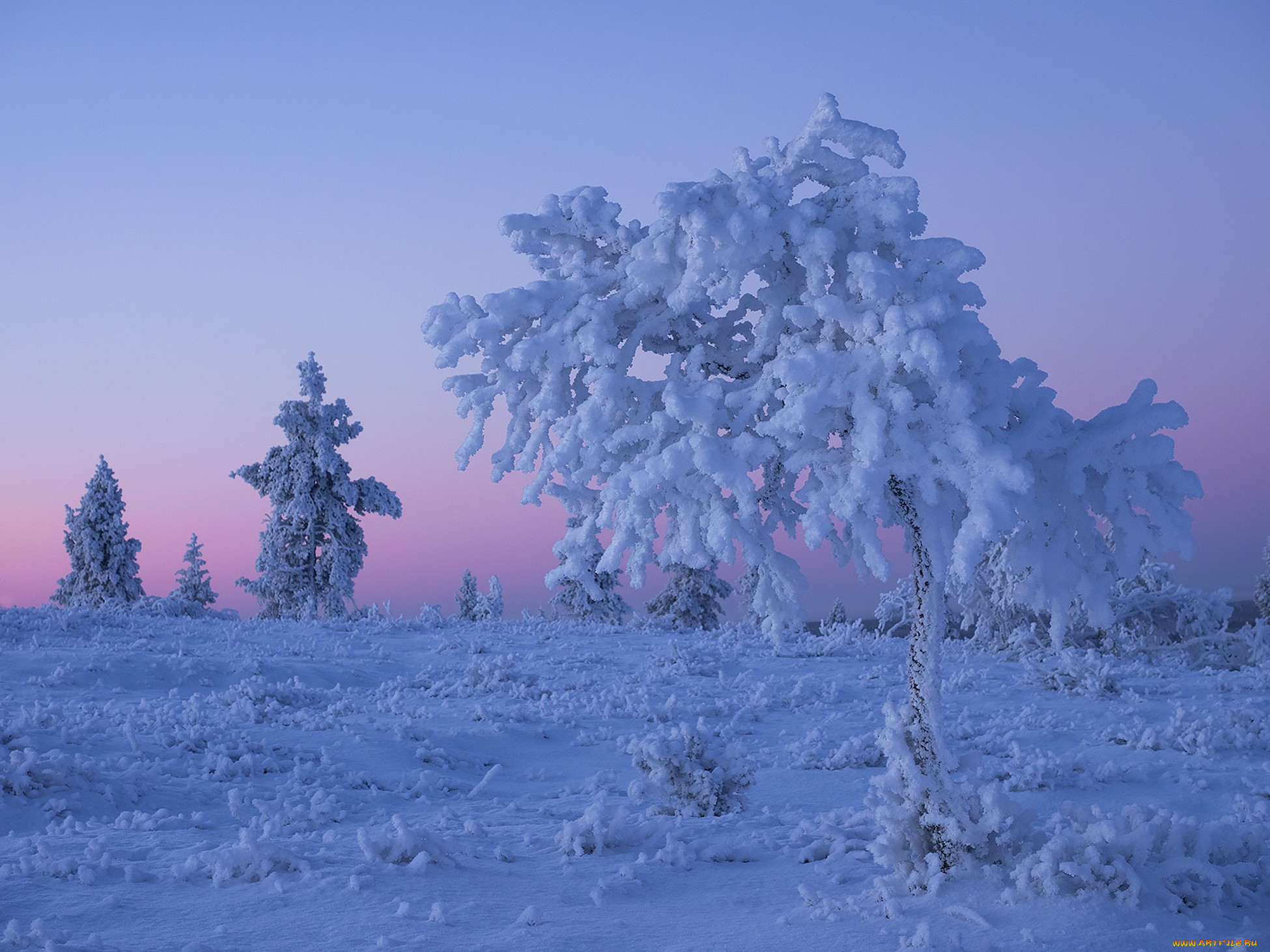 �������, ����, �������